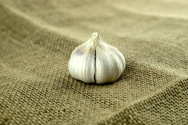 Γαρίφαλο σκόρδου για συγκομιδή λινάτσα — Φωτογραφία Αρχείου