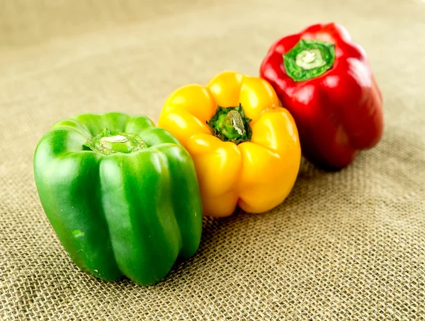 Succosa peperoncino colorato — Foto Stock