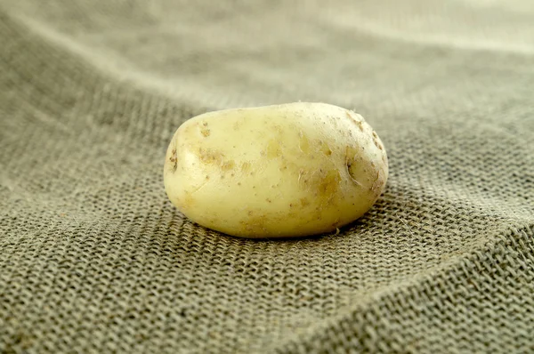 Patata recién recogida —  Fotos de Stock