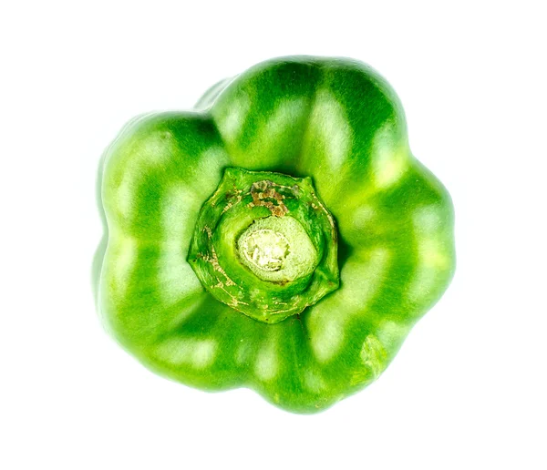Vibrant green bell pepper in studio — Stock Photo, Image