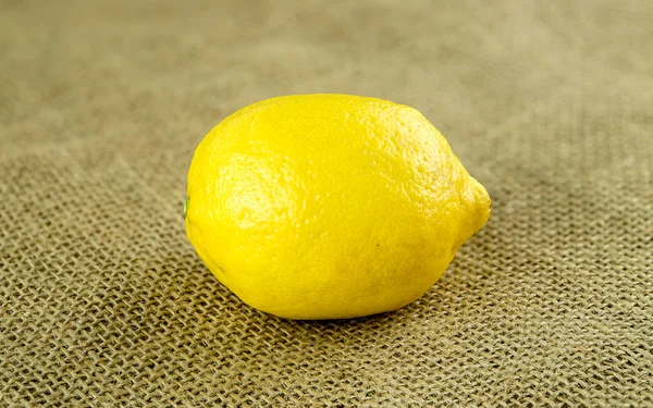 Macro de limão na serapilheira — Fotografia de Stock