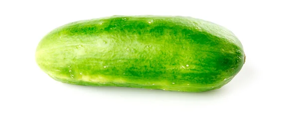 Närbild av kärnfria liten gurka på vit — Stockfoto