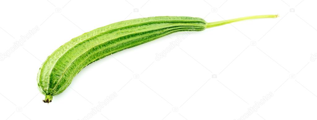 Whole raw ridged gourd with stem against white