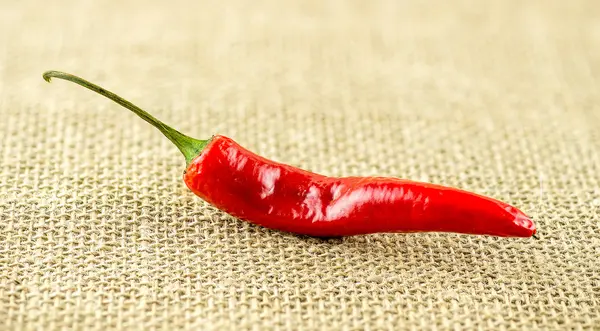 Makro pikantní hot chili Pepper — Stock fotografie