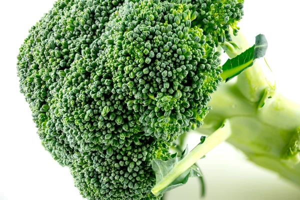 Macro closeup of broccoli with tiny green buds — Stock Photo, Image