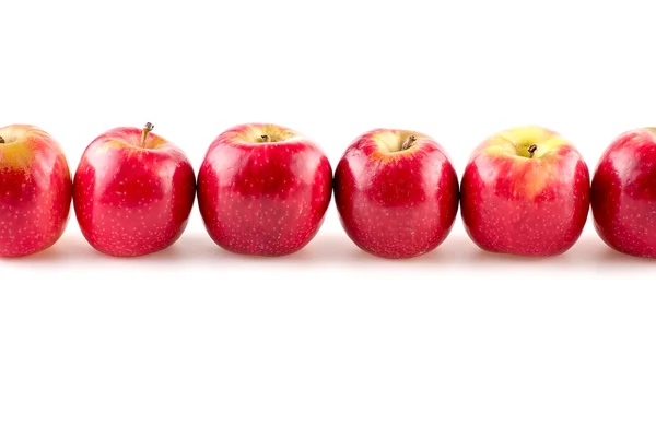 Rak linje av vackra saftiga äpplen studio isolerade — Stockfoto