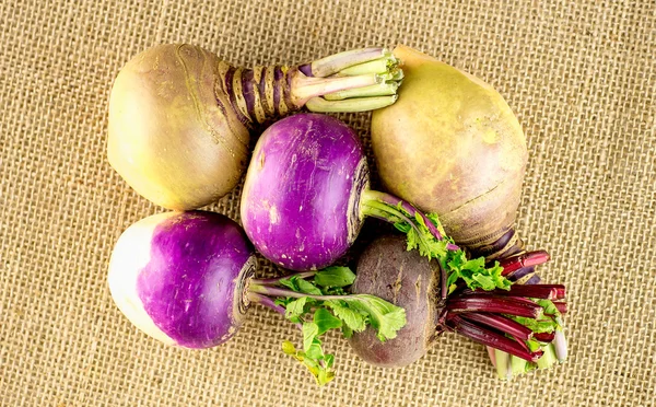 Arrangement of swedish turnip, purple turnips and beetroot veget — Stock Photo, Image