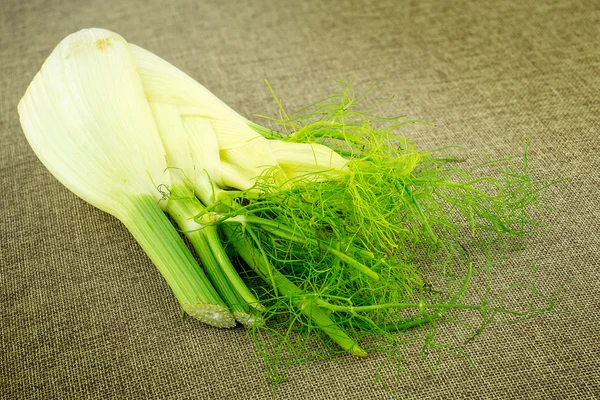 Bombilla de hinojo aromática saludable sobre fondo rústico hessiano — Foto de Stock