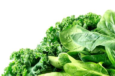 Detailed macro of curly-leafed kale and spinach leaves with whit clipart