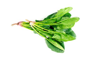 Raw organic spinach leaves isolated on white clipart