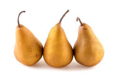 Güzel altın kahverengi russeted armut