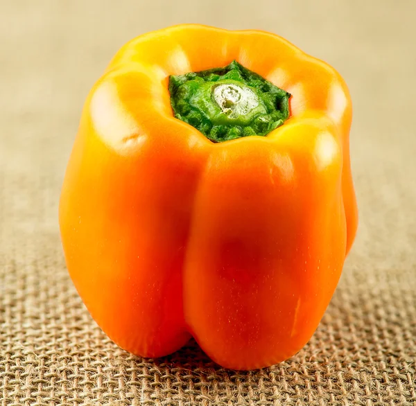 Macro closeup of bright orange capsicum pepper — Stock Photo, Image