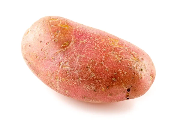 Verse schoon hele aardappel op witte achtergrond — Stockfoto