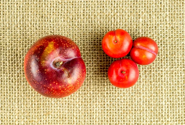 Mini storlek cherry plommon och en stor röd plommon — Stockfoto