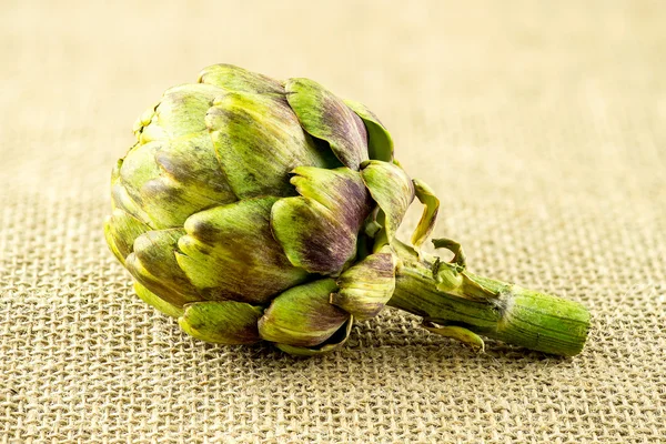 Macro of green and purple artichoke flower with stem — Stock Photo, Image