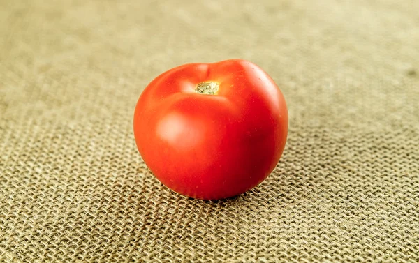 Perfekta ekologiskt odlade tomater — Stockfoto