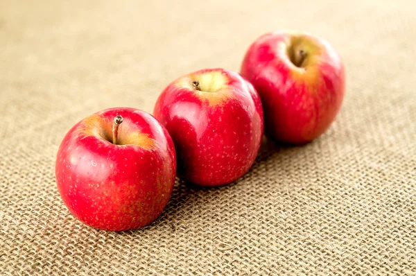 Delicious red apples with stems — Stock Photo, Image