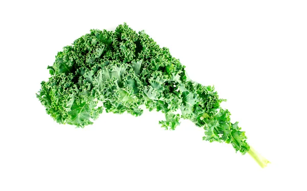 Curly leaf kale on white background — Stock Photo, Image