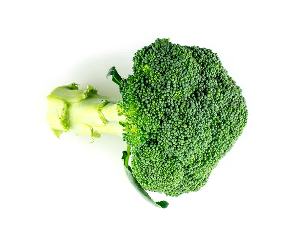 Green organic broccoli floret on white — Stock Photo, Image