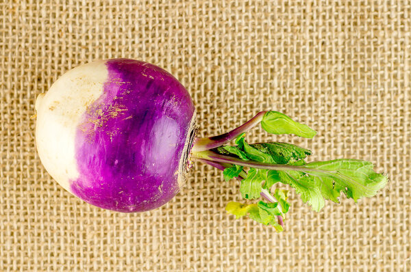 Tasty fresh organic turnip on burlap texture