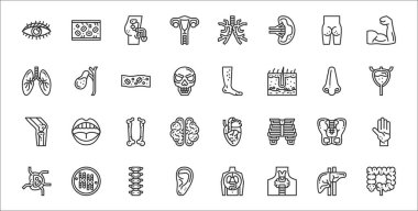 32 insan organı. İnce dış hatlar. Bağırsak, tiroit, kulak, lenf düğümleri, leğen kemiği, kemik, mesane, bacak, safra kesesi gibi.