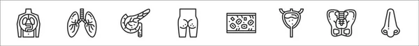 Ensemble Icônes Contour Mince Organe Humain Telles Que Organe Humain — Image vectorielle