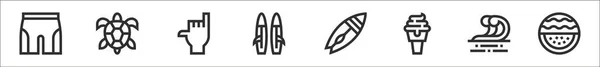 Набір Тонких Контурів Серфінгу Таких Купальник Черепаха Шака Дошка Серфінгу — стоковий вектор