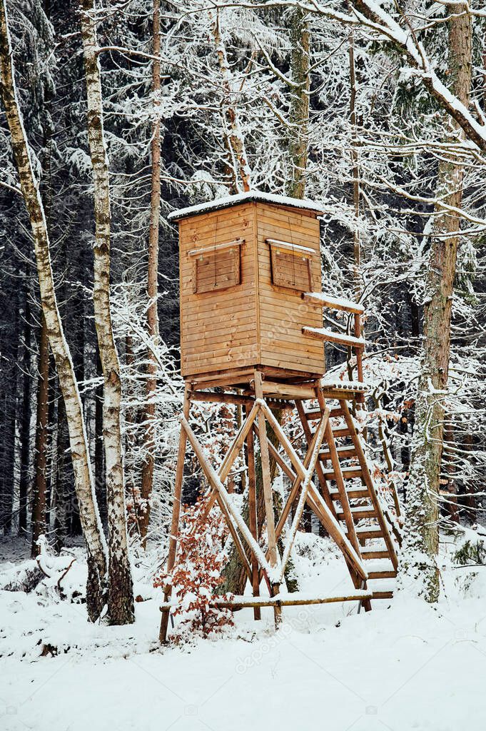 high seat in a German forest during winter