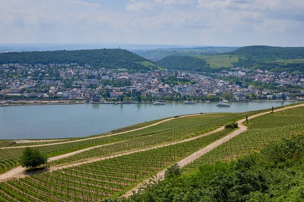 Rhen landskap med utsikt över den lilla turistiska staden Bingen vid floden Rhen i Tyskland — Stockfoto
