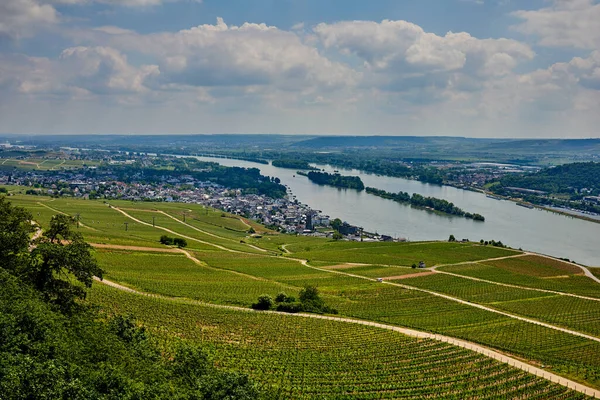 Pemandangan indah di atas Ruedesheim dan Sungai Rhine di Jerman — Stok Foto