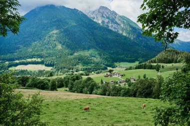 Almanya, Bavyera 'da yaz mevsiminde manzara