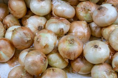 Soğanlar gün ışığında bir pazar ortamında bir araya toplanır..