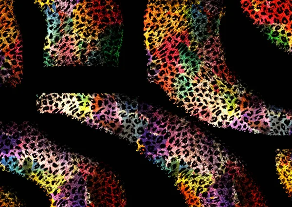 Elvont Egzotikus Leopárd Bőr Textúra — Stock Fotó