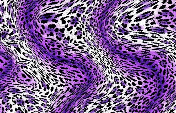 Abstrato Exótico Leopardo Textura Pele — Fotografia de Stock