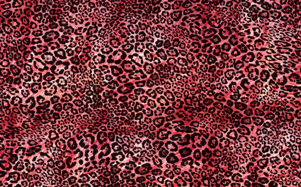 Abstraktní Exotická Textura Kůže Leoparda — Stock fotografie