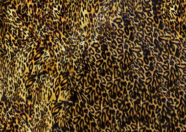 Soyut egzotik leopar deri dokusu