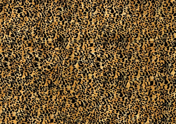 abstract exotic animal skin pattern