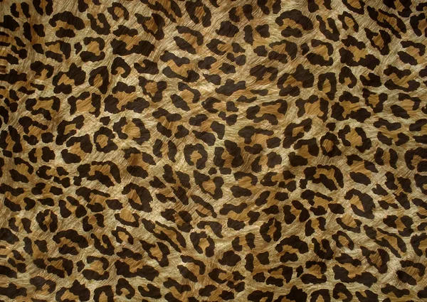 Abstract Exotic Animal Skin Pattern — Stock Photo, Image