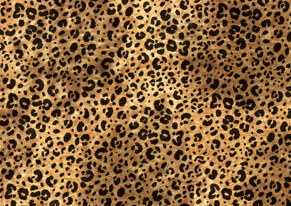 Abstract Exotic Animal Skin Pattern — Stock Photo, Image