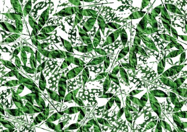 Soyut egzotik hayvan derisi dokusu