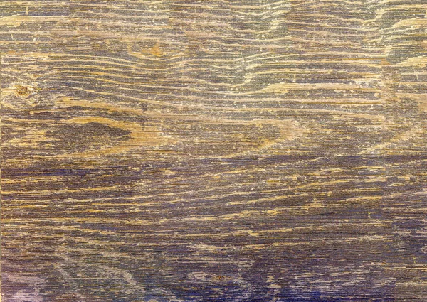 Panele Podłogowe Naturalnego Drewna — Zdjęcie stockowe