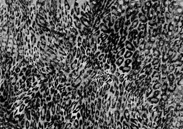 Texture Astratta Pelle Leopardo Esotico — Foto Stock