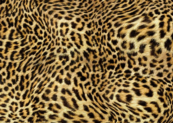 abstract oil painted animal skin print