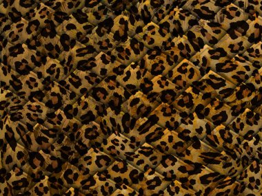 Soyut güzel hayvan derisi deseni