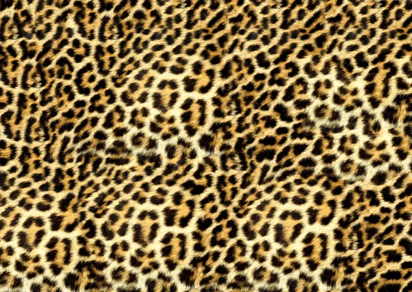 abstract beautiful animal skin pattern