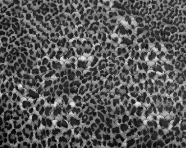 Soyut güzel hayvan derisi deseni