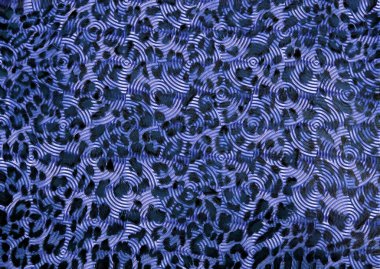 Soyut güzel hayvan derisi deseni