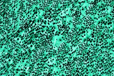 Soyut güzel hayvan derisi deseni