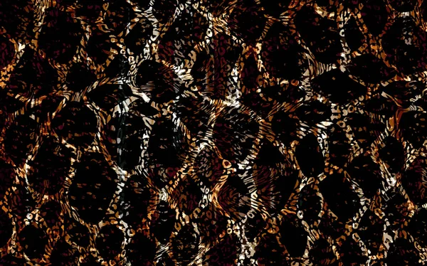 abstract beautiful animal skin pattern