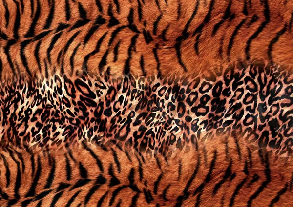 abstract beautiful animal skin pattern